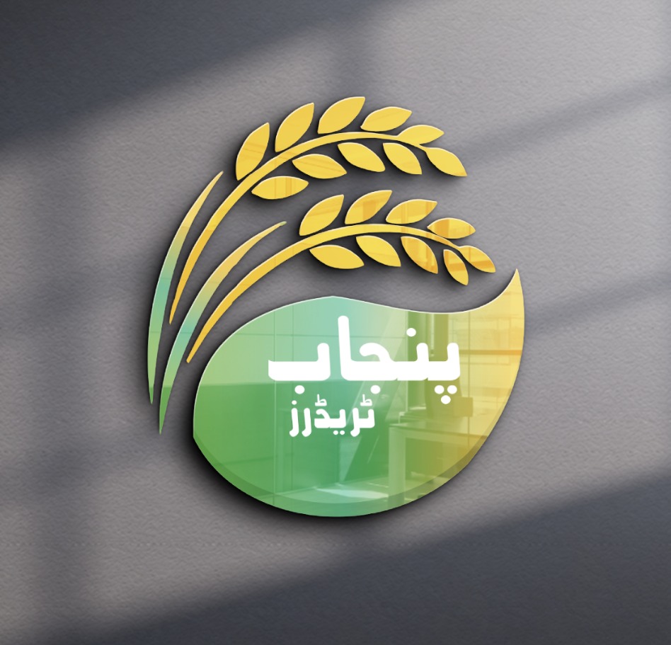 Logo Design